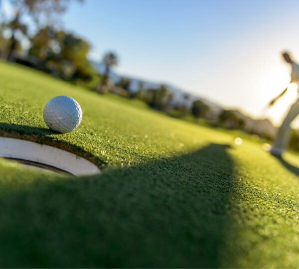 Personal Liability & Specialized Cover